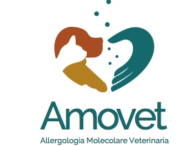 logo amovet quadrato 2