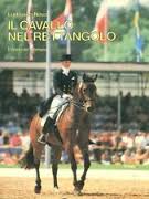 il cavallo nel rettangolo