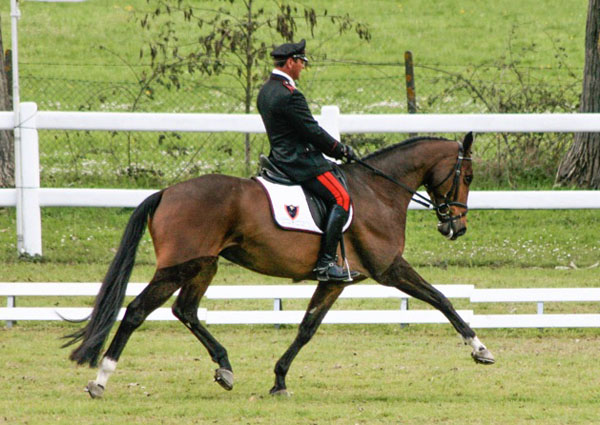 2010_dressage_brecciaroli