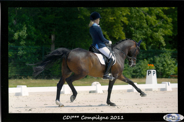 Carlotta_Marconi_sito_compiegne