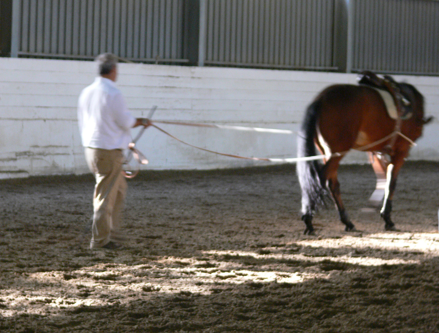 Corso Margi