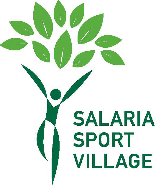 logo ssv