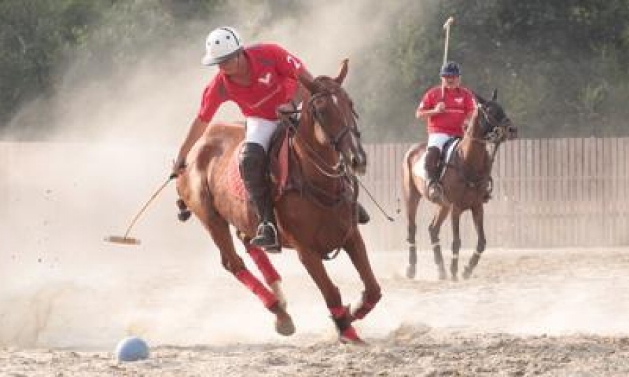 Polo Arena Avellanos