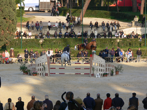 salto piazza di siena