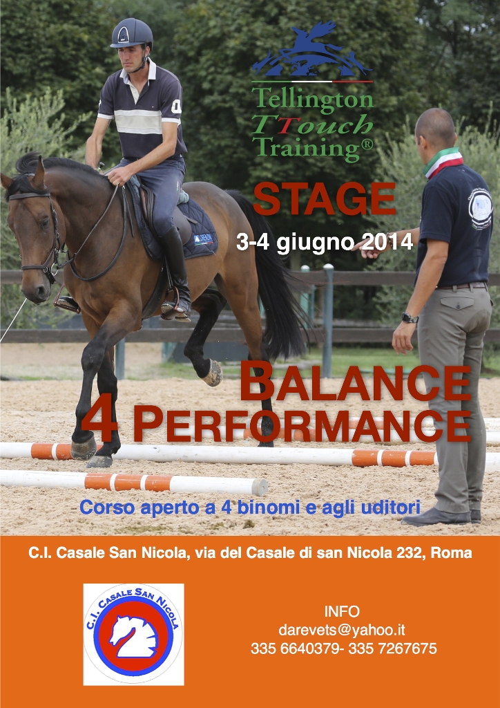 Stage T-Touch locandina